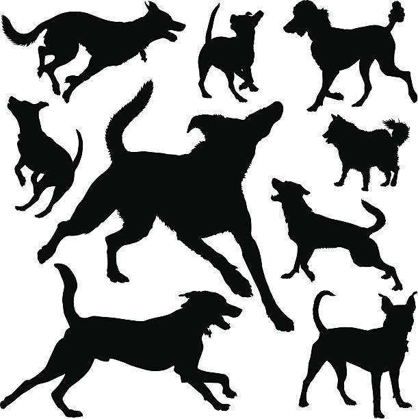 Canine SIlhouettes Canine silhouettes of different breeds while running and playing. Download also includes Illustrator CS3 file and high resolution XXXL (7156 x 7166) Thanks! dog running stock illustrations