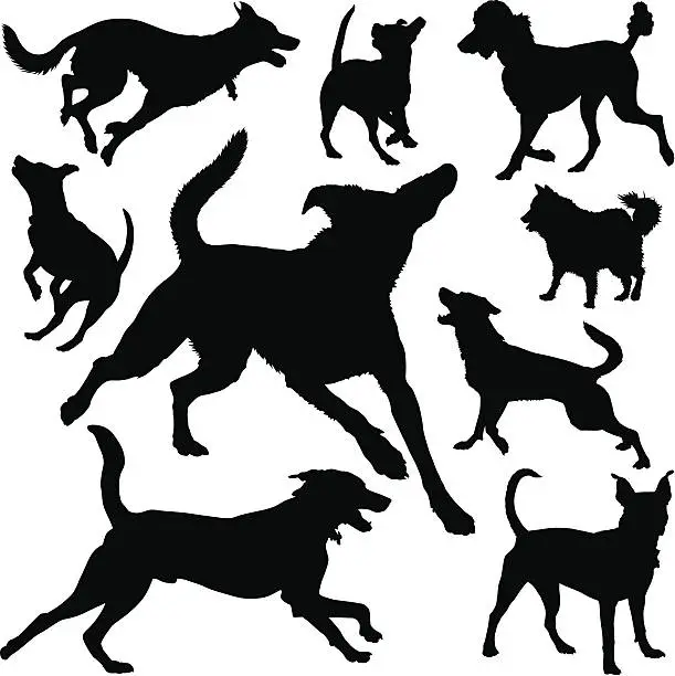 Vector illustration of Canine SIlhouettes