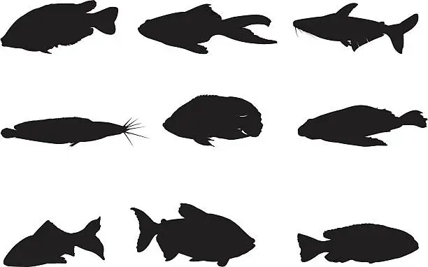 Vector illustration of Fish