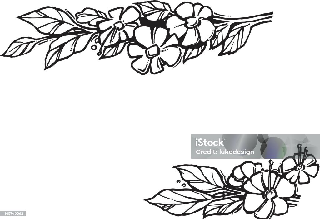 flores - arte vectorial de Anual - Característica de planta libre de derechos