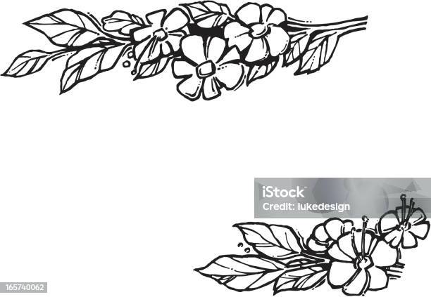 Ilustración de Flores y más Vectores Libres de Derechos de Anual - Característica de planta - Anual - Característica de planta, Brote, Buqué