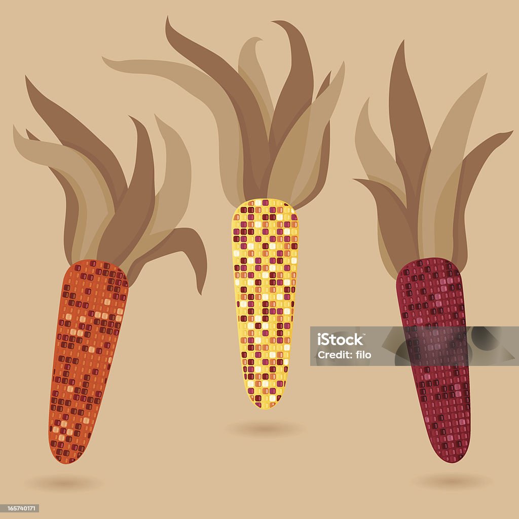 추절 콘 - 로열티 프리 인디언 옥수수 벡터 아트