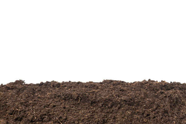 istock Soil for plant isolated on white background. 1657402144