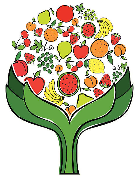 tree on the mix fruit apple, pear, orange, lemon, strawberry, sour cherry, banana, apricot, peach, grape, pomegranate, watermelon, fruit, illustration, vector, drawing chandler strawberry stock illustrations