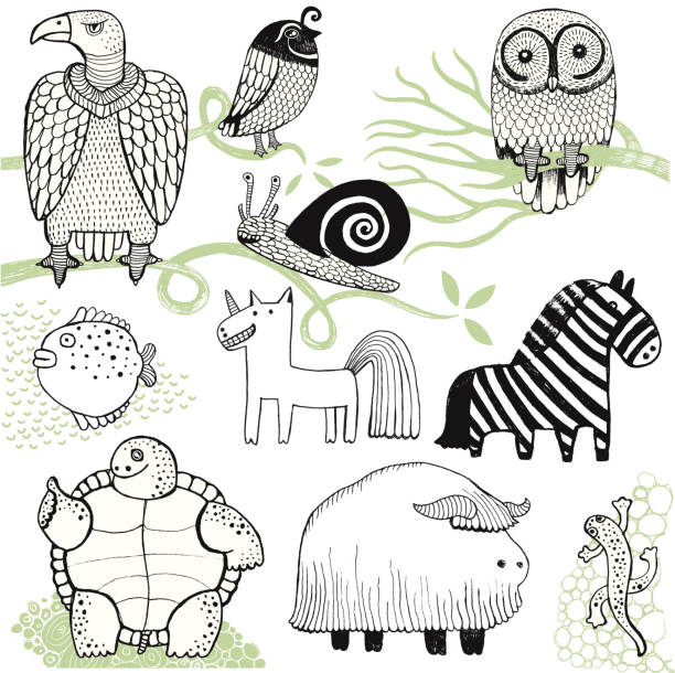 bildbanksillustrationer, clip art samt tecknat material och ikoner med buffalo, zebra, tortoise, owl, vulture, newt, snail, unicorn and fish - animal doodle