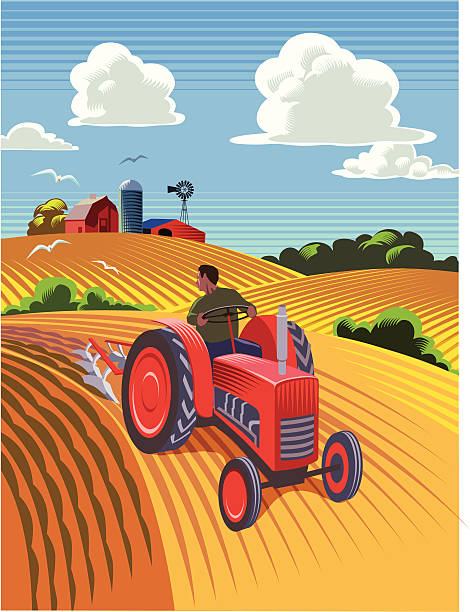 ilustraciones, imágenes clip art, dibujos animados e iconos de stock de tractor ploughing campo - farmer farm agriculture tractor