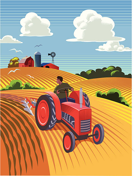 Tractor ploughing field Landscape with old style tractor ploughing field tractor illustrations stock illustrations