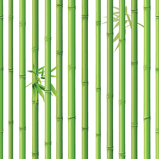 Vector illustration of Bamboo Seamless