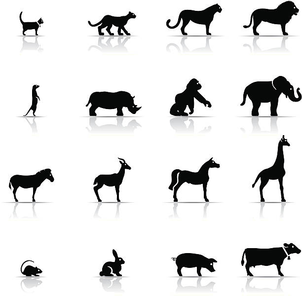 illustrazioni stock, clip art, cartoni animati e icone di tendenza di set di icone animali - impala