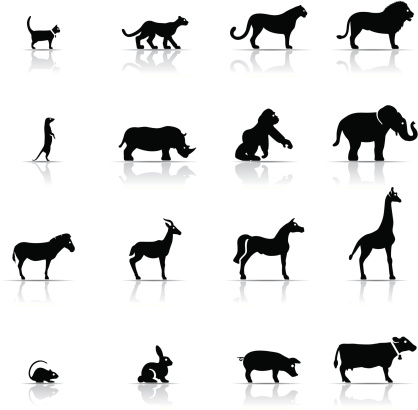 Icon Set, Animals on white background, made in adobe Illustrator (vector)