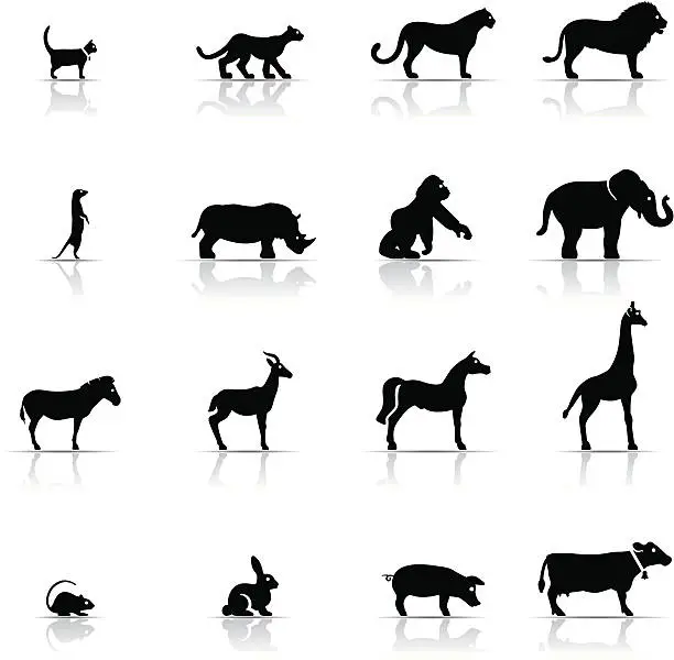 Vector illustration of Icon Set, Animals