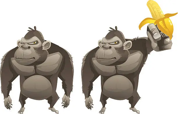 Vector illustration of Apes