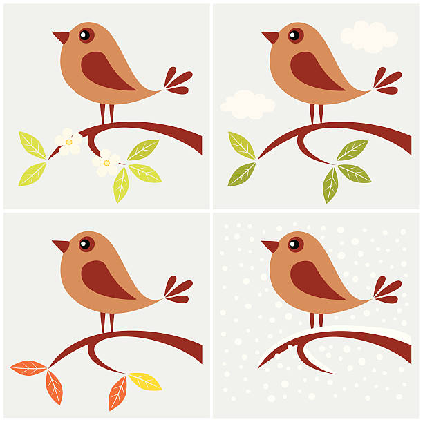 ilustraciones, imágenes clip art, dibujos animados e iconos de stock de four seasons pájaro - four seasons cloud autumn plant