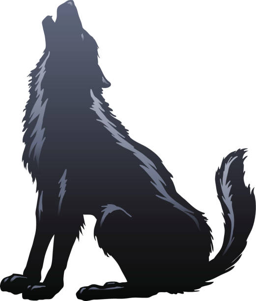 Wolf Howling Silhouette Wolf Howling Silhouette. Major elements layered separately. 2 spot colors plus black. Simple gradients and shapes for easy printing, separating and color changes. File formats: EPS and JPG howling stock illustrations