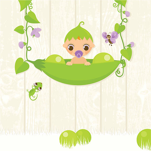 sweet pea. baby auf einer hülse - green pea pea pod vegetable cute stock-grafiken, -clipart, -cartoons und -symbole