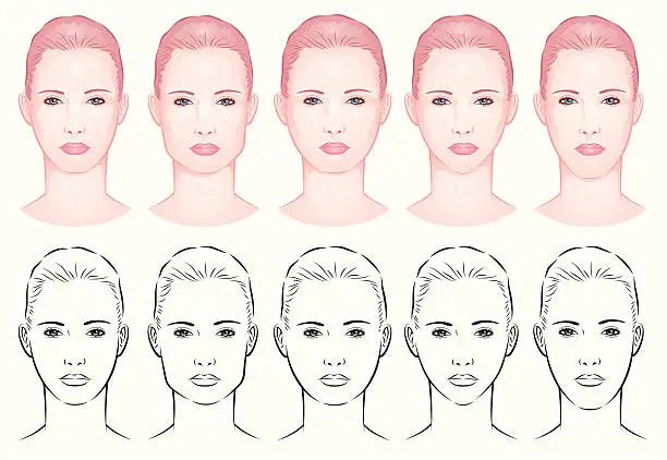 Vector illustration of forms of a female face