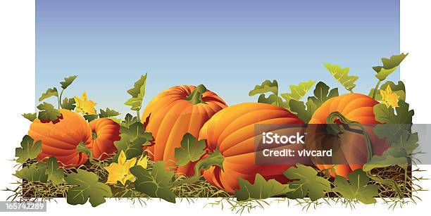 Pumpkin Patch Stock Illustration - Download Image Now - Pumpkin Patch, Vector, Illustration