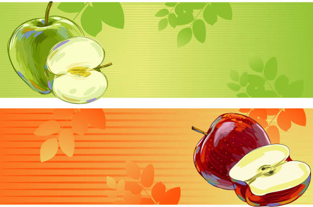 ilustraciones, imágenes clip art, dibujos animados e iconos de stock de banners de apple - portion apple food pattern