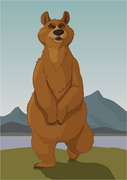 Bear vector art illustration