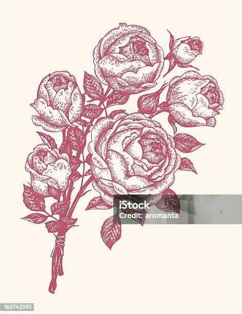Букет Роз — стоковая векторная графика и другие изображения на тему Роза - Роза, Свадьба, Гравюра