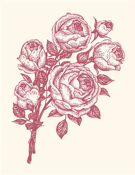bouquet of roses Floral design elements monoprint stock illustrations