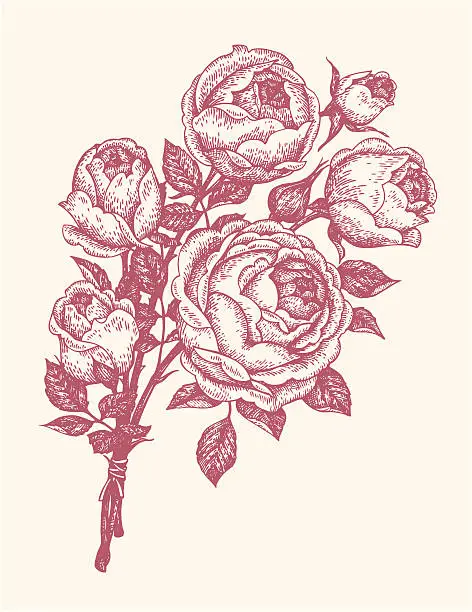 Vector illustration of bouquet of roses