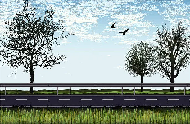 Vector illustration of road with trees, grass and birds -daylight