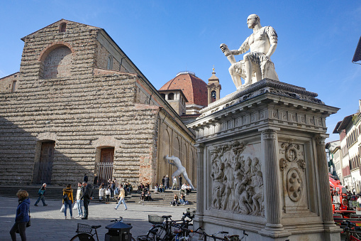 The Palazzo Pitti, world-famous Renaissance palace with the Boboli Gardens in Florence (Tuscany, Italy).