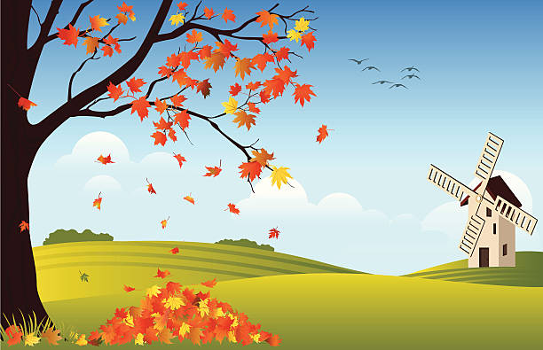 Orange leaves falling off tree in fall with windmill in rear Field with a windmill and single tree. maple tree stock illustrations