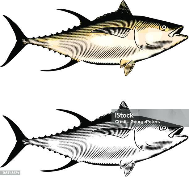 キハダマグロ - ツナのベクターアート素材や画像を多数ご用意 - ツナ, 彫刻画, 魚