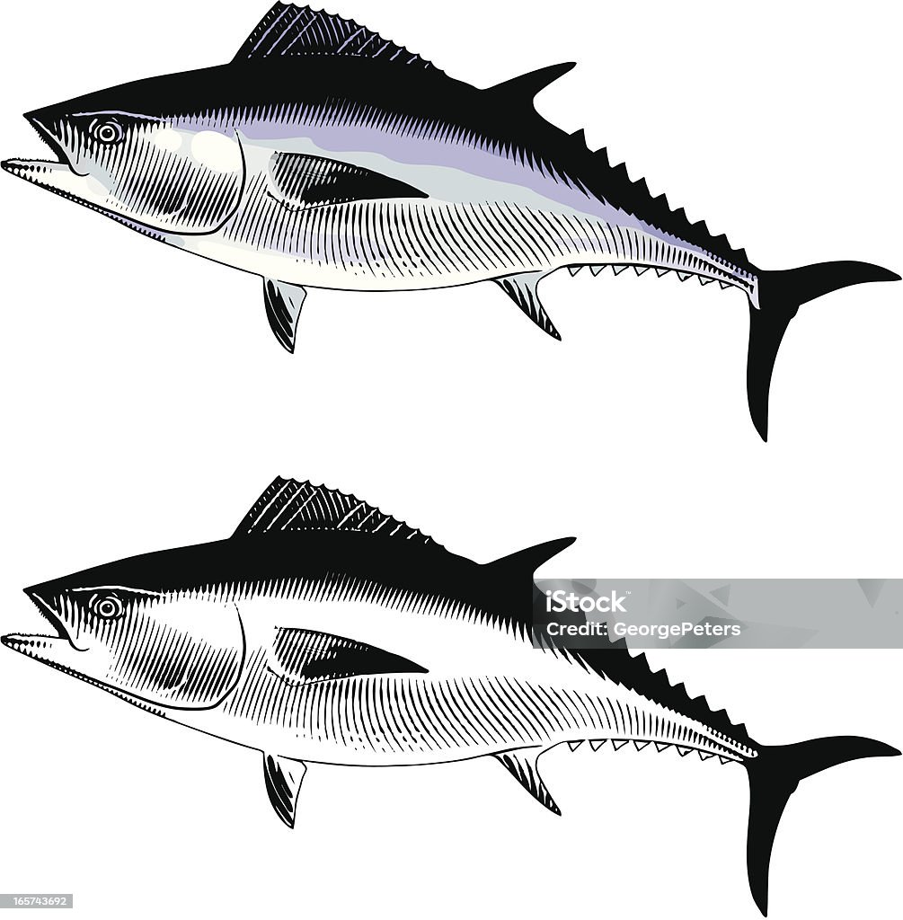 Синепёрый тунец - Векторная графика Cross Hatching роялти-фри