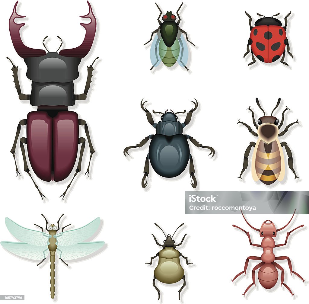 Набор иконок, насекомых - Векторная графика Муравей роялти-фри