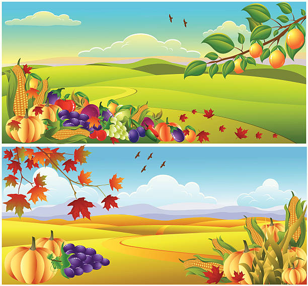 illustrazioni stock, clip art, cartoni animati e icone di tendenza di del ringraziamento banner/paesaggio. - thanksgiving plum autumn apple