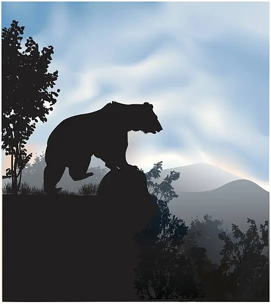 Vector illustration of Grzli bear in the wild