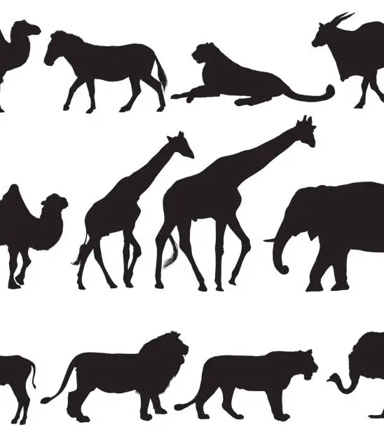 Vector illustration of Silhouette art of wild animals in black on white