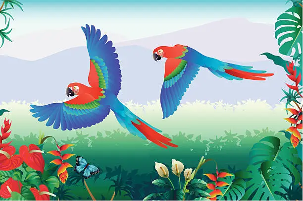 Vector illustration of flying parrots