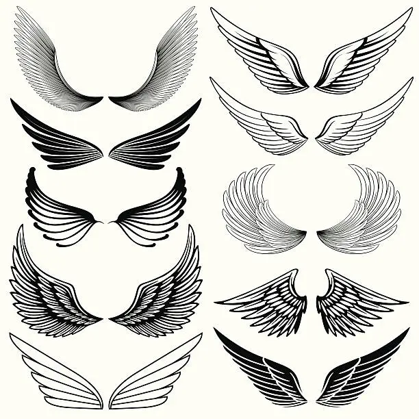Vector illustration of Wing Design Elements