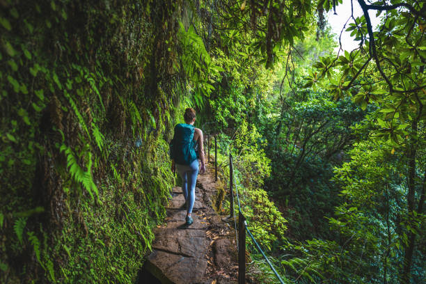 istock Female backpacker walking along rainforest water channel path on steep cliff covered with plants. Levada of Caldeirão Verde, Madeira Island, Portugal, Europe. 1657446073