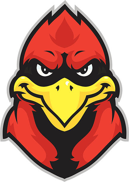 Kid Cardinal mascot head This Cardinal head is great for any mascot driven design. cardinal mascot stock illustrations