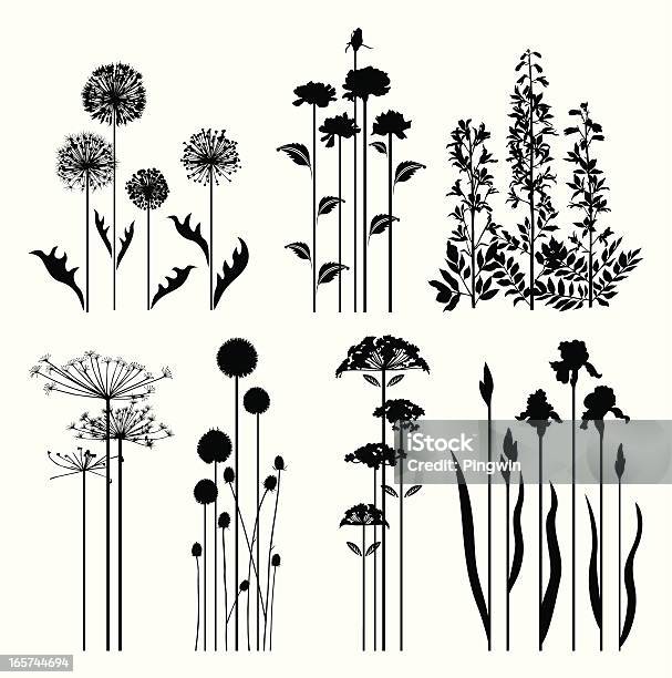 Spring Plants Collection Stock Illustration - Download Image Now - Dandelion, Flower, Illustration