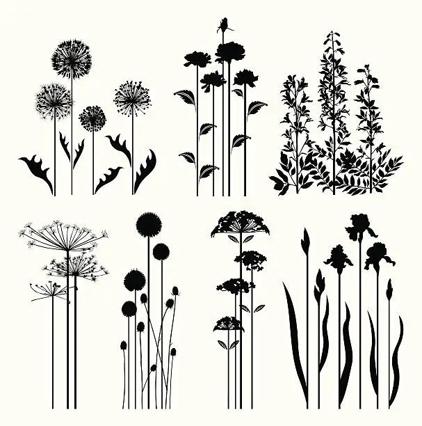 Vector illustration of Spring plants collection