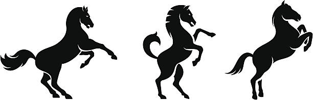 馬のセット - 障害馬術点のイラスト素材／クリップアート素材／マンガ素材／アイコン素材