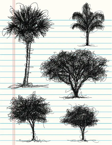 Vector illustration of tree scribbles