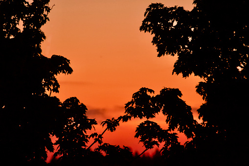 Smokey Sunset in nature with orange pantones