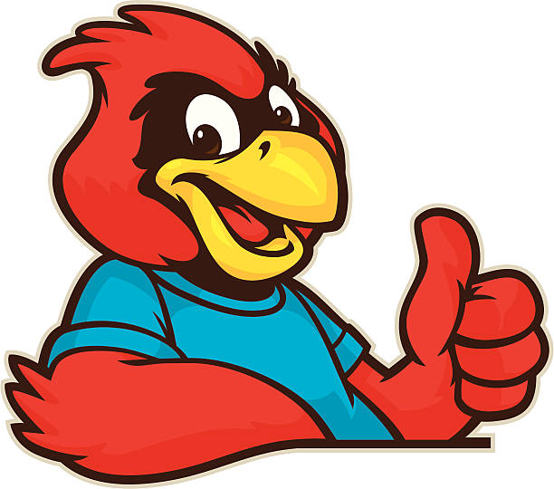 Youthful Cardinal Mascot This Kid Cardinal mascot is confidently giving the thumbs up. cardinal mascot stock illustrations