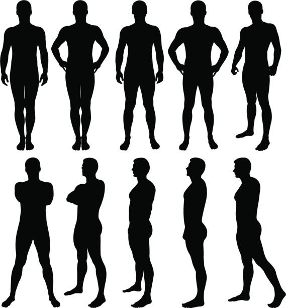 mężczyzna sylwetka upozowując - silhouette men outline adults only stock illustrations