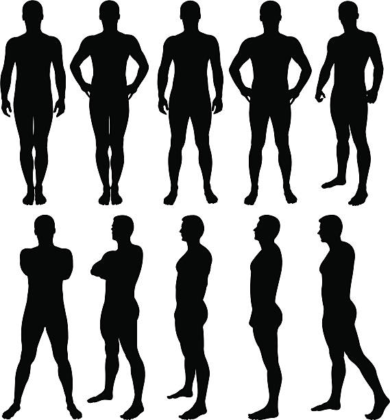 Male silhouettes posing Vector illustration of male silhouettes posing. the human body stock illustrations