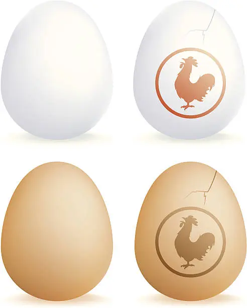 Vector illustration of Eggs