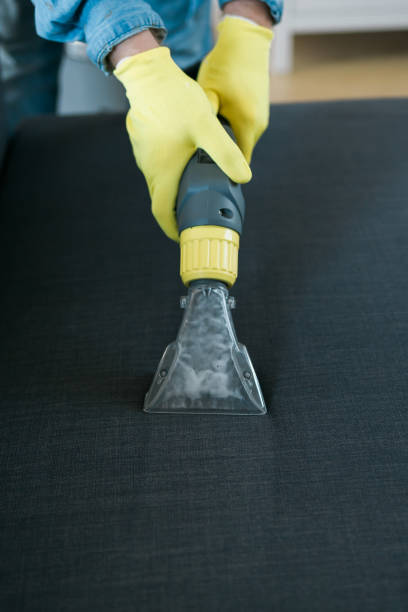 istock Man in protective rubber glove cleaning sofa with professionally extraction method with washing vacuum cleaner. Early spring regular cleanup. Commercial cleaning company concept 1657452589