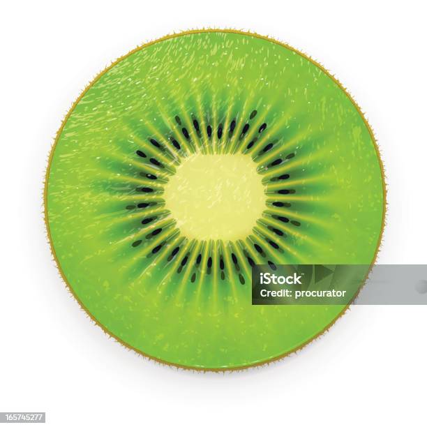 Ilustración de Rodaja De Kiwi y más Vectores Libres de Derechos de Kiwi - Kiwi, Vector, Alimento